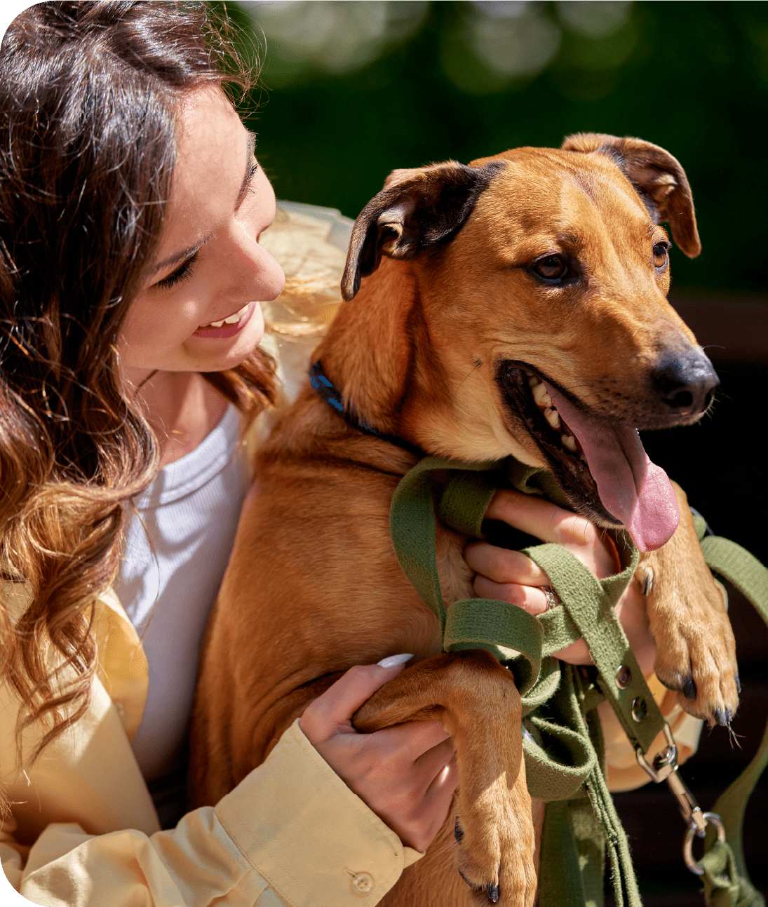 Person with two dogs