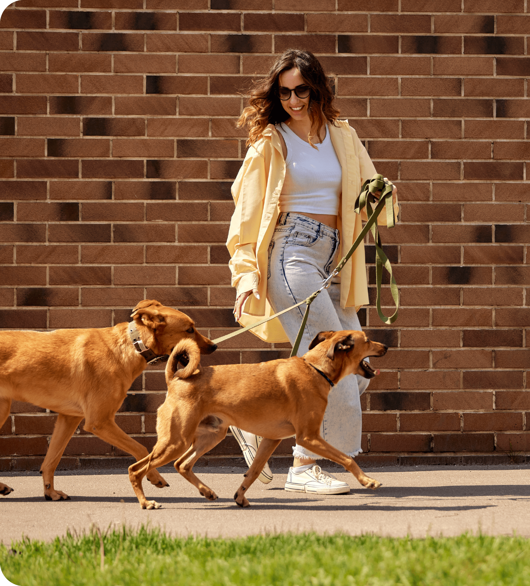 Woman walking dogs